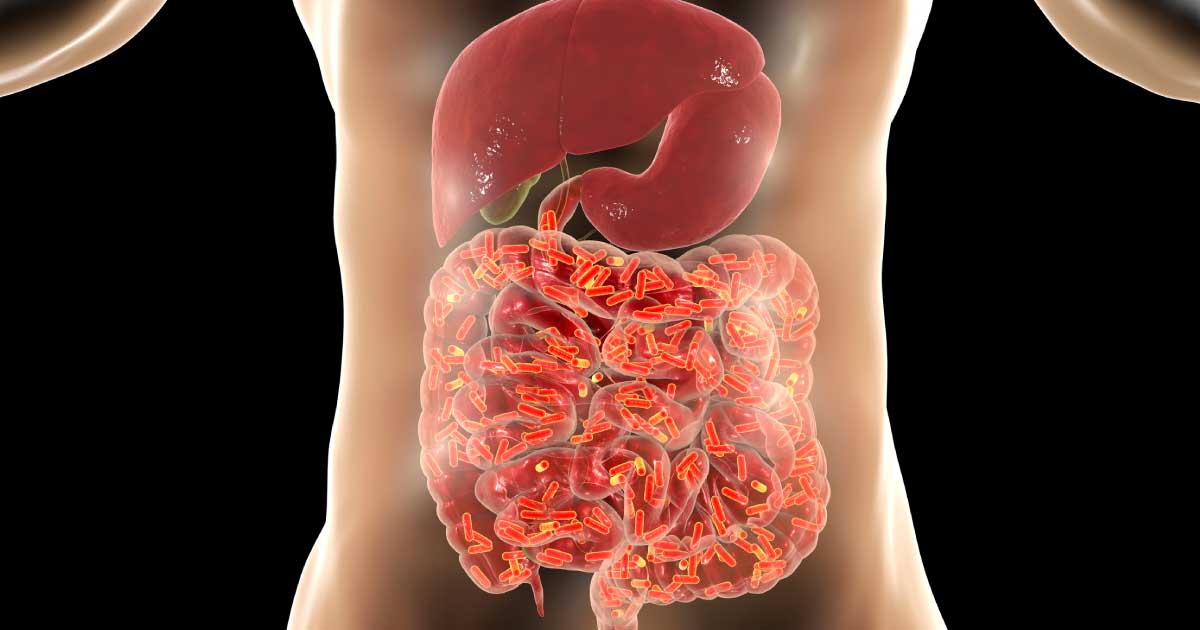Lifestyle & Longevity: The Human Gut Microbiome - SX2